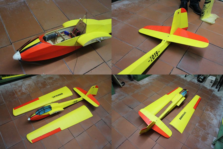 fh bergfalke